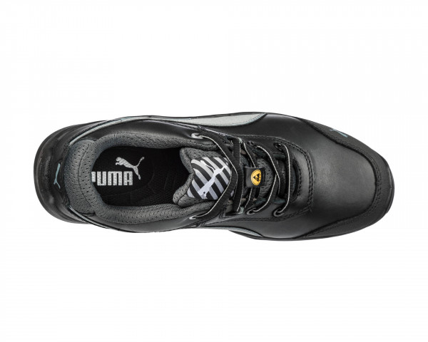 puma argon rx low