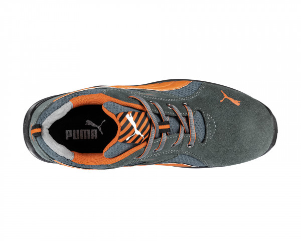 OMNI LOW