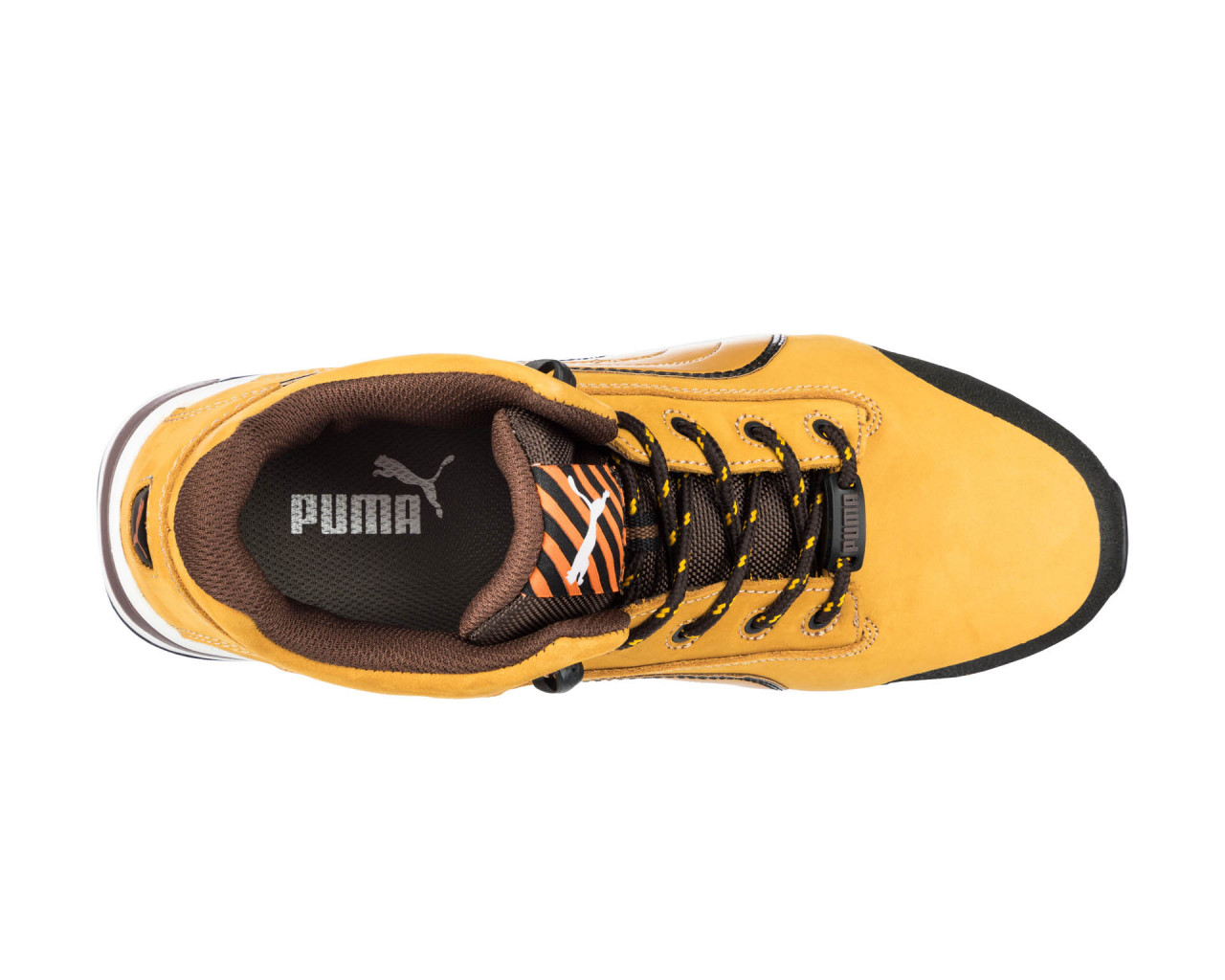 puma dash wheat