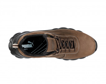 Vista previa: CONDOR LOW Vista previa: CONDOR LOW